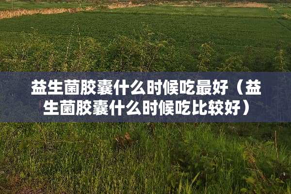 益生菌胶囊什么时候吃最好（益生菌胶囊什么时候吃比较好）