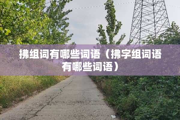 拂组词有哪些词语（拂字组词语有哪些词语）