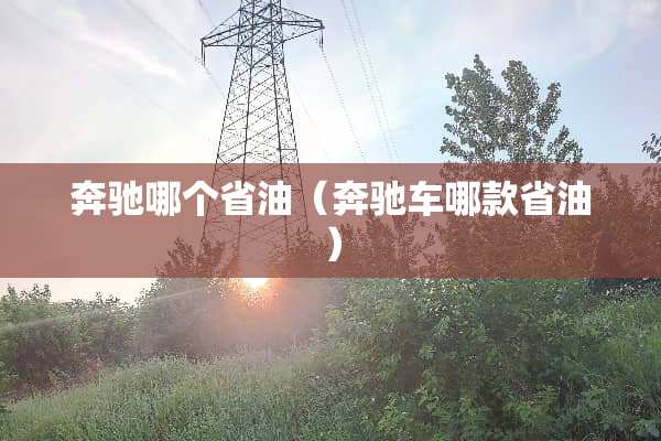 奔驰哪个省油（奔驰车哪款省油）