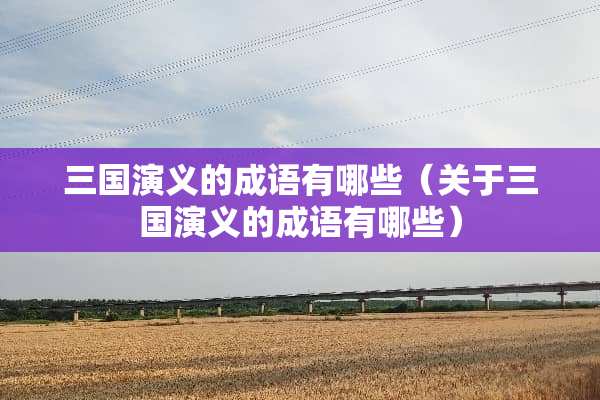 三国演义的成语有哪些（关于三国演义的成语有哪些）