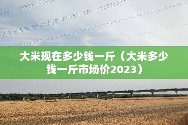 大米现在多少钱一斤（大米多少钱一斤市场价2023）