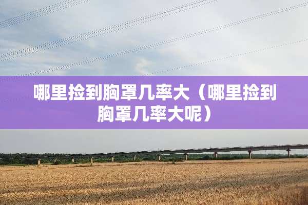 哪里捡到**几率大（哪里捡到**几率大呢）