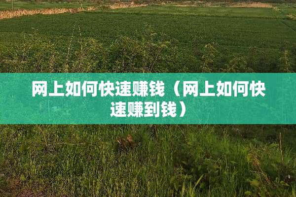 网上如何快速赚钱（网上如何快速赚到钱）