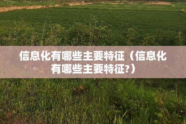 信息化有哪些主要特征（信息化有哪些主要特征?）
