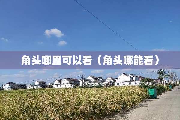 角头哪里可以看（角头哪能看）