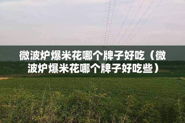 微波炉爆米花哪个牌子好吃（微波炉爆米花哪个牌子好吃些）