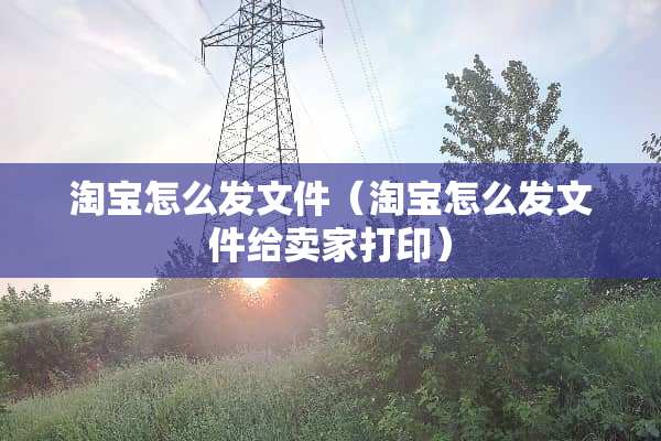 淘宝怎么发文件（淘宝怎么发文件给卖家打印）