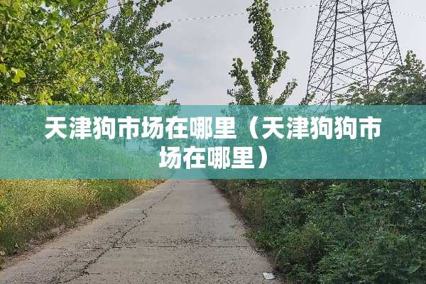 天津狗市场在哪里（天津狗狗市场在哪里）