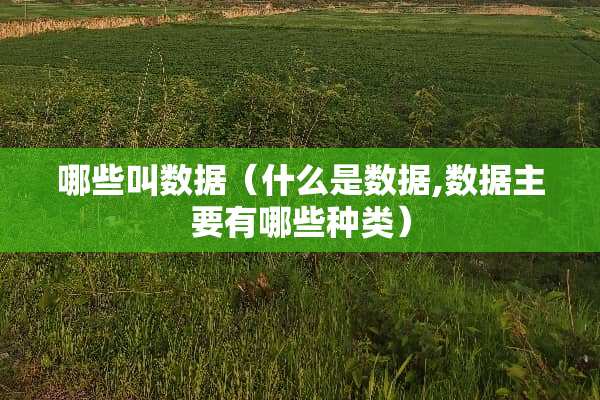 哪些叫数据（什么是数据,数据主要有哪些种类）