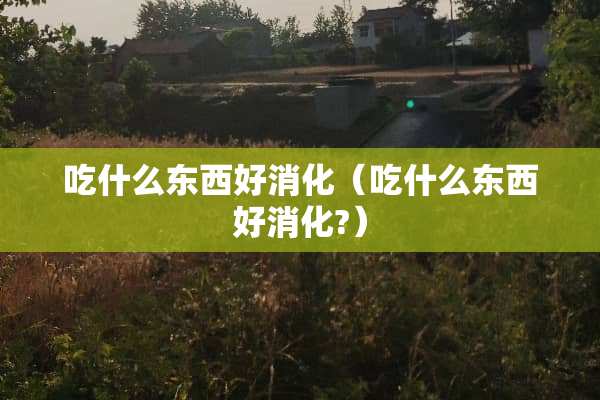 吃什么东西好消化（吃什么东西好消化?）