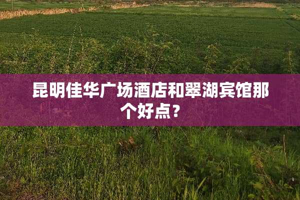 昆明佳华广场酒店和翠湖宾馆那个好点？