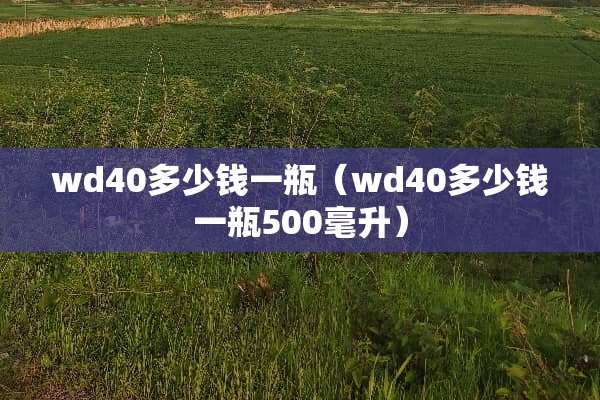 wd40多少钱一瓶（wd40多少钱一瓶500毫升）
