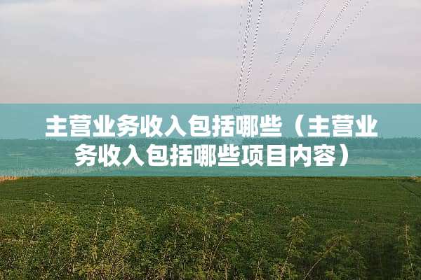 主营业务收入包括哪些（主营业务收入包括哪些项目内容）