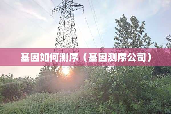 基因如何测序（基因测序公司）