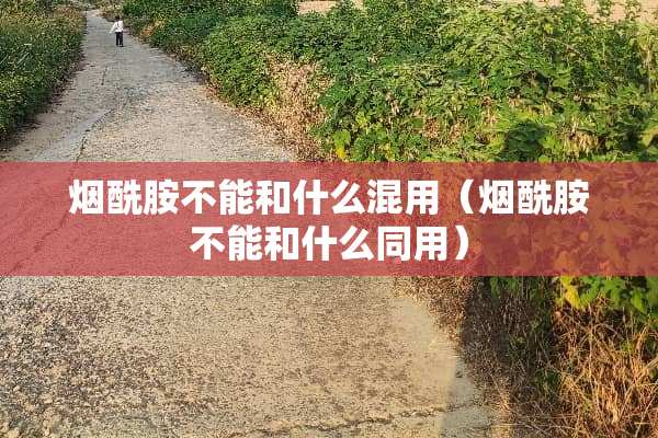 烟酰胺不能和什么混用（烟酰胺不能和什么同用）