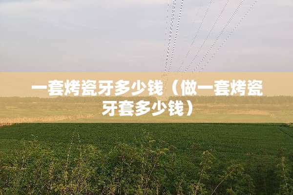 一套烤瓷牙多少钱（做一套烤瓷牙套多少钱）