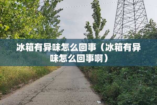 冰箱有异味怎么回事（冰箱有异味怎么回事啊）