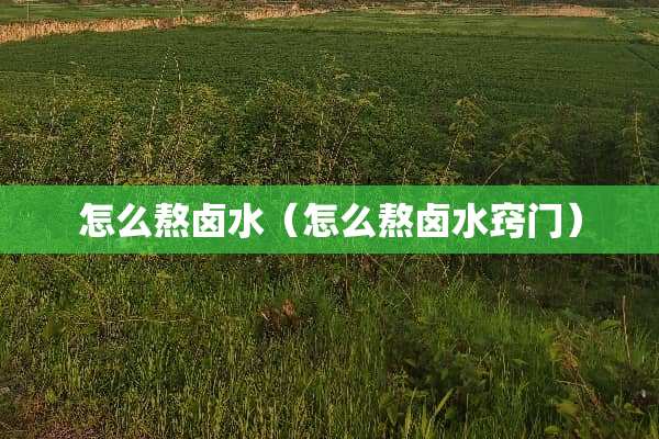 怎么熬卤水（怎么熬卤水窍门）