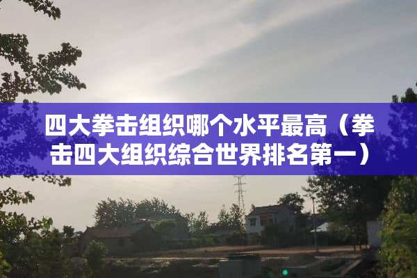 四大拳击组织哪个水平最高（拳击四大组织综合世界排名第一）