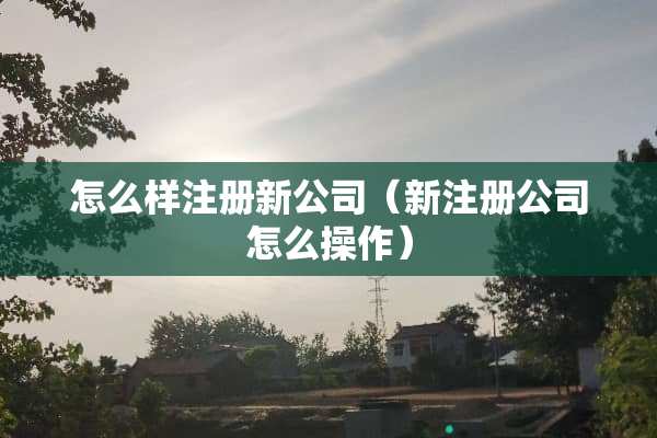 怎么样注册新公司（新注册公司怎么操作）