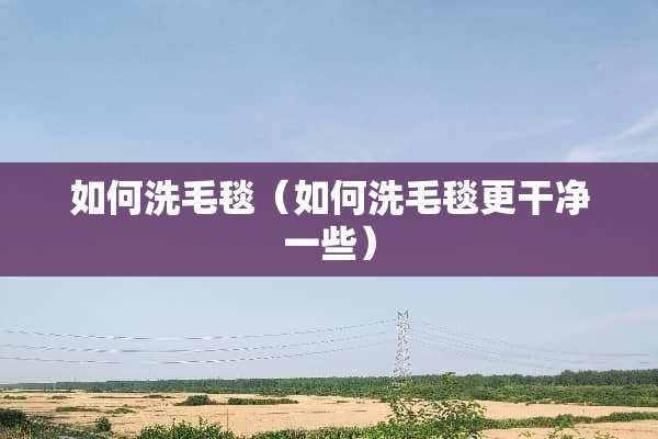 如何洗毛毯（如何洗毛毯更干净一些）
