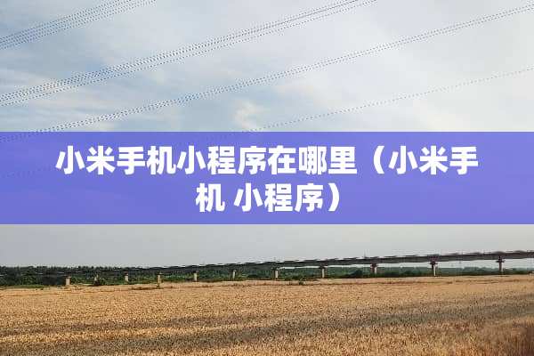 小米手机小程序在哪里（小米手机 小程序）