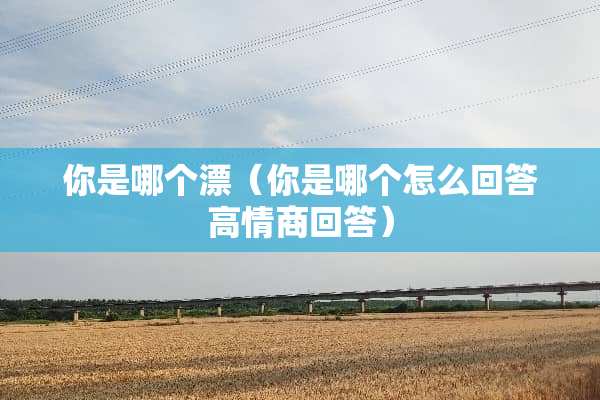 你是哪个漂（你是哪个怎么回答高情商回答）