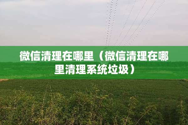 微信清理在哪里（微信清理在哪里清理系统垃圾）