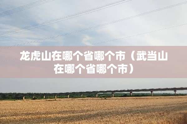 龙虎山在哪个省哪个市（武当山在哪个省哪个市）