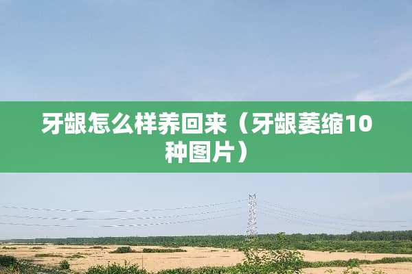 牙龈怎么样养回来（牙龈萎缩10种图片）