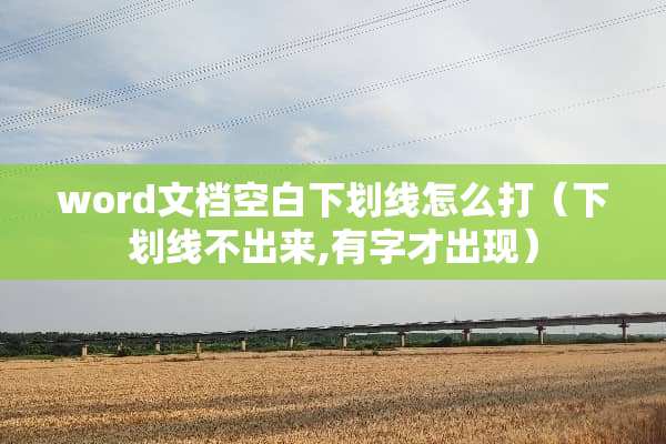 word文档空白下划线怎么打（下划线不出来,有字才出现）