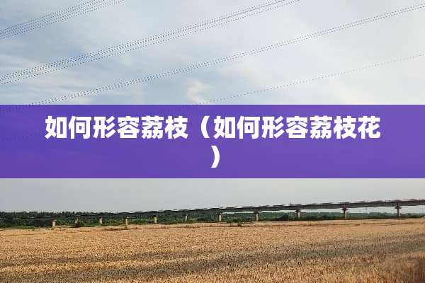 如何形容荔枝（如何形容荔枝花）