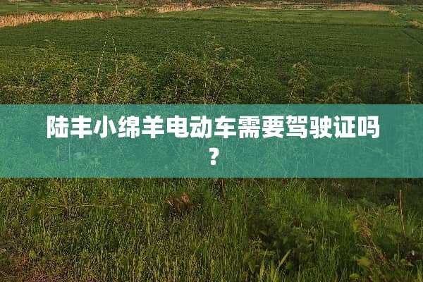 陆丰小绵羊电动车需要***吗？