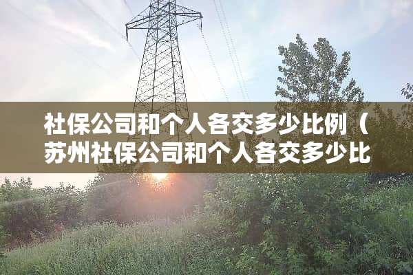 社保公司和个人各交多少比例（苏州社保公司和个人各交多少比例）