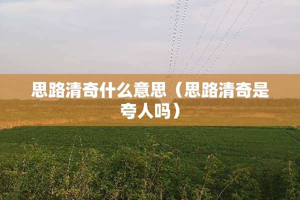 思路清奇什么意思（思路清奇是夸人吗）