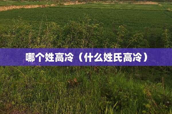 哪个姓高冷（什么姓氏高冷）