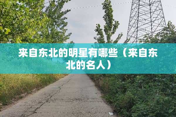 来自东北的明星有哪些（来自东北的名人）