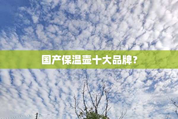 国产保温壶十大品牌？