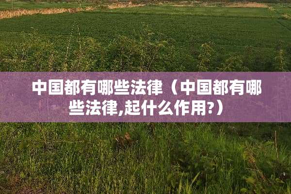 中国都有哪些法律（中国都有哪些法律,起什么作用?）
