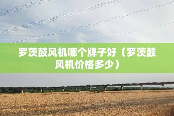 罗茨鼓风机哪个牌子好（罗茨鼓风机价格多少）