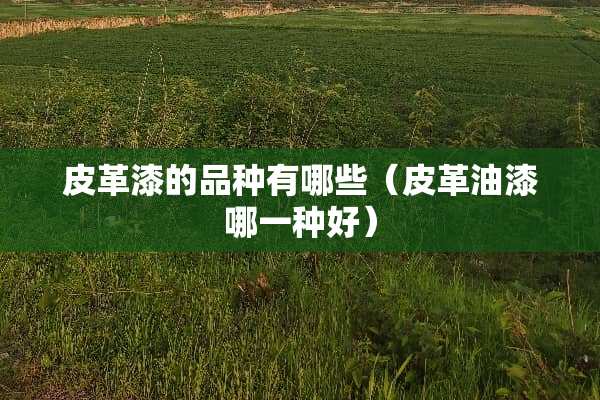 皮革漆的品种有哪些（皮革油漆哪一种好）