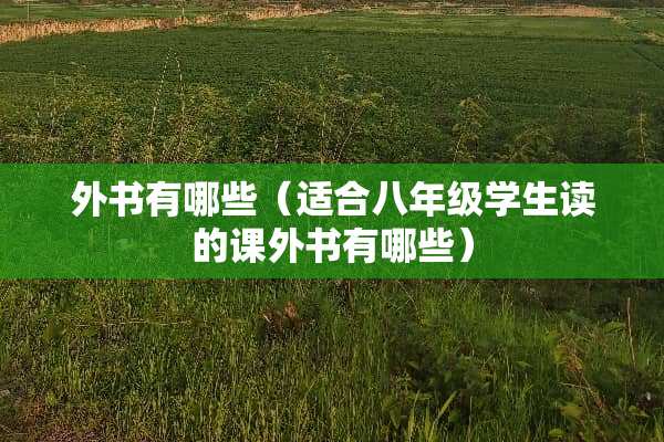 外书有哪些（适合八年级学生读的课外书有哪些）