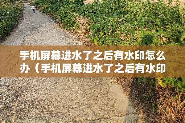 手机屏幕进水了之后有水印怎么办（手机屏幕进水了之后有水印怎么办不开手机）
