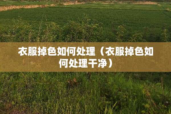 衣服掉色如何处理（衣服掉色如何处理干净）