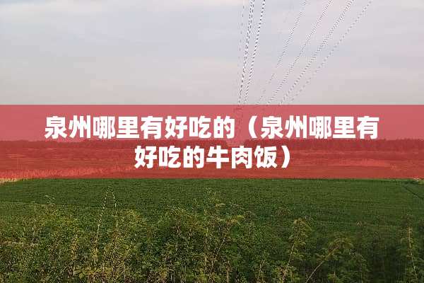 泉州哪里有好吃的（泉州哪里有好吃的牛肉饭）