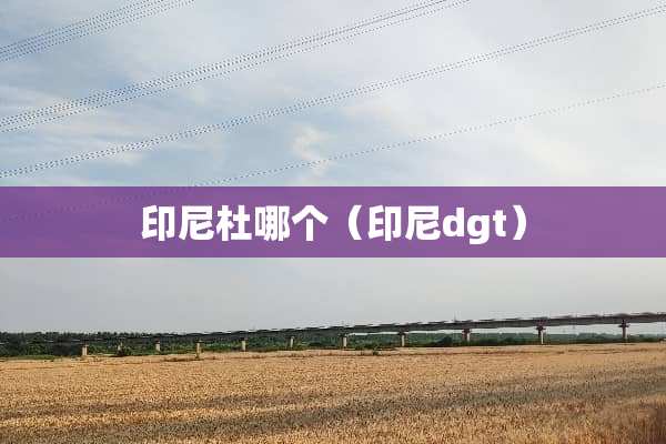 印尼杜哪个（印尼dgt）