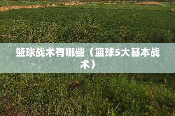 篮球战术有哪些（篮球5大基本战术）