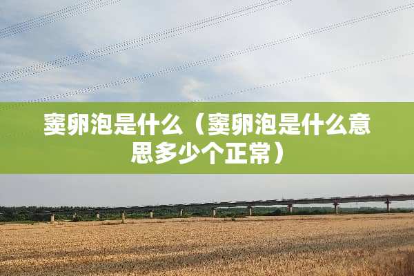 窦卵泡是什么（窦卵泡是什么意思多少个正常）
