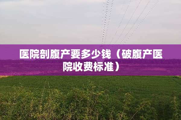 医院剖腹产要多少钱（破腹产医院收费标准）