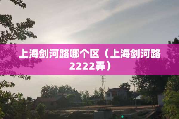 上海剑河路哪个区（上海剑河路2222弄）